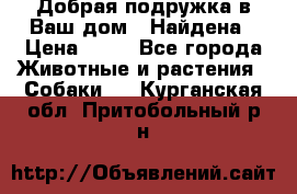 Добрая подружка,в Ваш дом!!!Найдена › Цена ­ 10 - Все города Животные и растения » Собаки   . Курганская обл.,Притобольный р-н